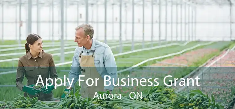Apply For Business Grant Aurora - ON